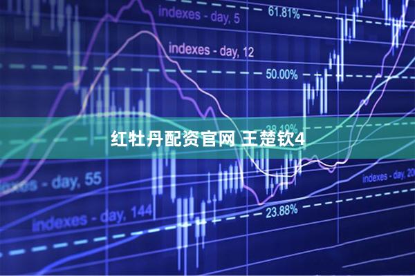 红牡丹配资官网 王楚钦4