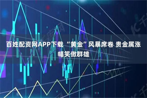 百姓配资网APP下载 “黄金”风暴席卷 贵金属涨幅笑傲群雄